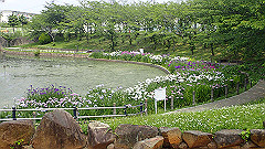 p6111983_thumb.jpg