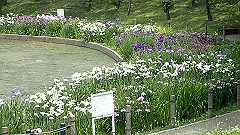 p6111984_thumb.jpg