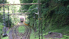 img_5307_thumb.jpg