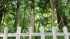 img_5326_thumb.jpg