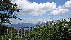 p7060004_thumb.jpg