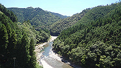 p7060024_thumb.jpg