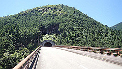 p7060026_thumb.jpg