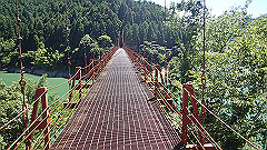 p7060033_thumb.jpg