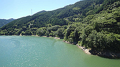 p7060036_thumb.jpg