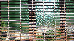 p7060039_thumb.jpg