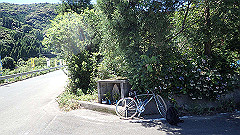 p7060054_thumb.jpg