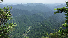 img_5417_thumb.jpg