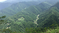 img_5419_thumb.jpg