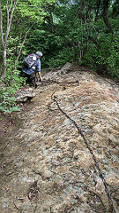 img_5421_thumb.jpg