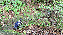 img_5422_thumb.jpg