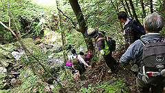 img_5423_thumb.jpg