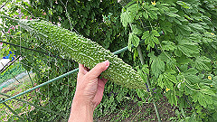 img_5427_thumb.jpg
