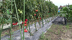 img_5429_thumb.jpg
