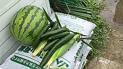 img_5431_thumb.jpg