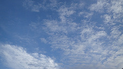 p7160061_thumb.jpg