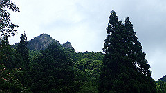 p7160082_thumb.jpg