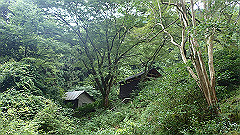 p7160089_thumb.jpg