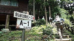 p7160096_thumb.jpg