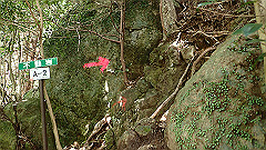 p7160101_thumb.jpg