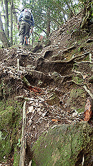 p7160105_thumb.jpg