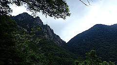 p7160109_thumb.jpg