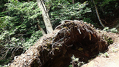 p7160111_thumb.jpg