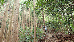 p7160113_thumb.jpg