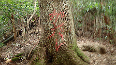 p7160115_thumb.jpg