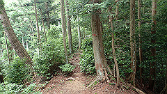 p7160118_thumb.jpg