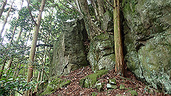 p7160120_thumb.jpg