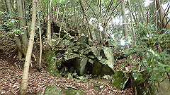 p7160121_thumb.jpg