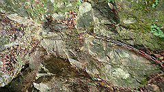 p7160125_thumb.jpg