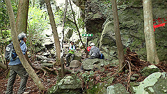 p7160129_thumb.jpg