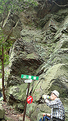 p7160131_thumb.jpg