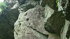p7160135_thumb.jpg