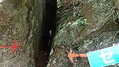 p7160144_thumb.jpg