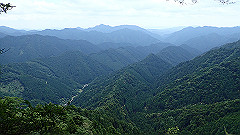 p7160145_thumb.jpg