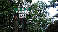p7160155_thumb.jpg