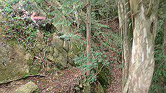 p7160156_thumb.jpg