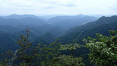 p7160157_thumb.jpg