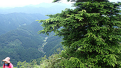 p7160158_thumb.jpg