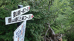 p7160170_thumb.jpg