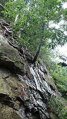 p7160174_thumb.jpg