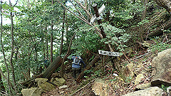 p7160175_thumb.jpg
