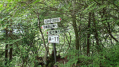 p7160176_thumb.jpg