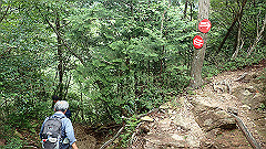 p7160177_thumb.jpg