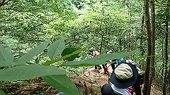 p7160178_thumb.jpg