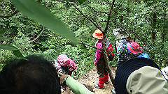 p7160179_thumb.jpg