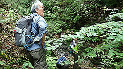 p7160182_thumb.jpg
